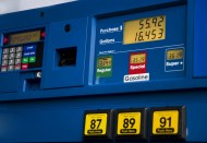 shutterstock_3131553